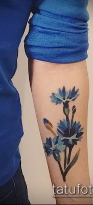 фото тату василек (cornflower tattoo) (значение) — пример рисунка — 022 tatufoto.com