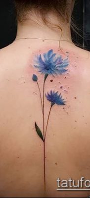 фото тату василек (cornflower tattoo) (значение) — пример рисунка — 030 tatufoto.com