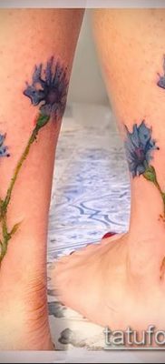 фото тату василек (cornflower tattoo) (значение) — пример рисунка — 034 tatufoto.com