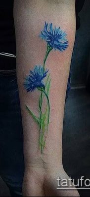 фото тату василек (cornflower tattoo) (значение) — пример рисунка — 037 tatufoto.com