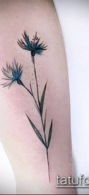 фото тату василек (cornflower tattoo) (значение) — пример рисунка — 039 tatufoto.com