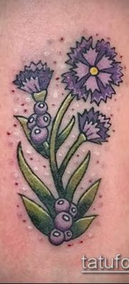 фото тату василек (cornflower tattoo) (значение) — пример рисунка — 040 tatufoto.com