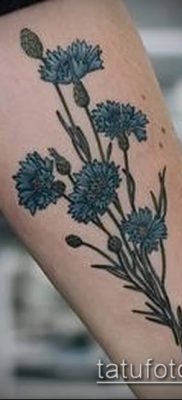 фото тату василек (cornflower tattoo) (значение) — пример рисунка — 041 tatufoto.com