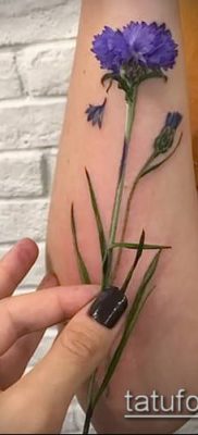 фото тату василек (cornflower tattoo) (значение) — пример рисунка — 042 tatufoto.com