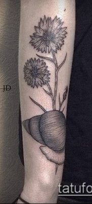 фото тату василек (cornflower tattoo) (значение) — пример рисунка — 043 tatufoto.com
