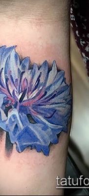 фото тату василек (cornflower tattoo) (значение) — пример рисунка — 044 tatufoto.com
