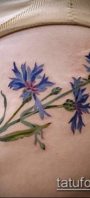 фото тату василек (cornflower tattoo) (значение) — пример рисунка — 045 tatufoto.com