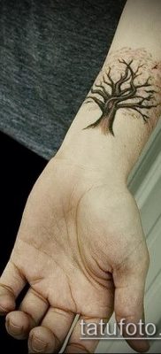 фото тату дуб (tattoo oak) (значение) — пример рисунка — 001 tatufoto.com