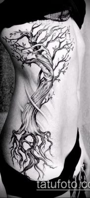 фото тату дуб (tattoo oak) (значение) — пример рисунка — 004 tatufoto.com