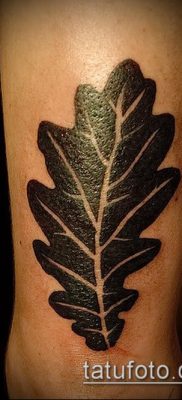фото тату дуб (tattoo oak) (значение) — пример рисунка — 005 tatufoto.com