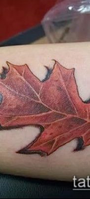 фото тату дуб (tattoo oak) (значение) — пример рисунка — 006 tatufoto.com
