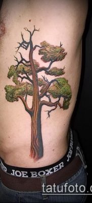фото тату дуб (tattoo oak) (значение) — пример рисунка — 011 tatufoto.com