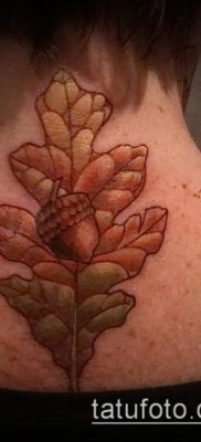фото тату дуб (tattoo oak) (значение) — пример рисунка — 012 tatufoto.com
