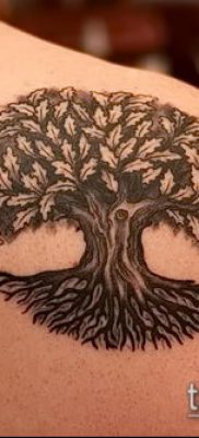 фото тату дуб (tattoo oak) (значение) — пример рисунка — 022 tatufoto.com