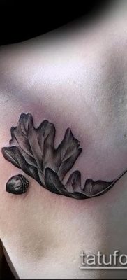 фото тату дуб (tattoo oak) (значение) — пример рисунка — 027 tatufoto.com