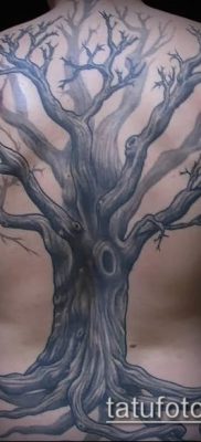 фото тату дуб (tattoo oak) (значение) — пример рисунка — 028 tatufoto.com