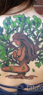 фото тату дуб (tattoo oak) (значение) — пример рисунка — 029 tatufoto.com