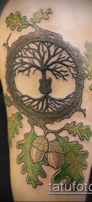 фото тату дуб (tattoo oak) (значение) — пример рисунка — 034 tatufoto.com