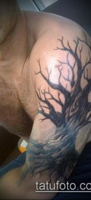 фото тату дуб (tattoo oak) (значение) — пример рисунка — 042 tatufoto.com