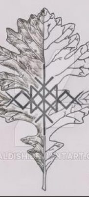 фото тату дуб (tattoo oak) (значение) — пример рисунка — 043 tatufoto.com