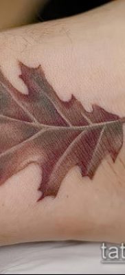 фото тату дуб (tattoo oak) (значение) — пример рисунка — 044 tatufoto.com