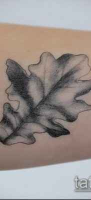 фото тату дуб (tattoo oak) (значение) — пример рисунка — 048 tatufoto.com