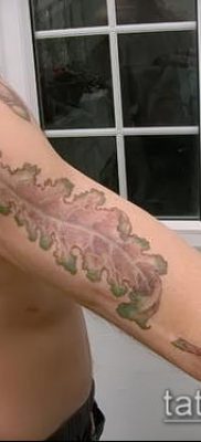 фото тату дуб (tattoo oak) (значение) — пример рисунка — 049 tatufoto.com