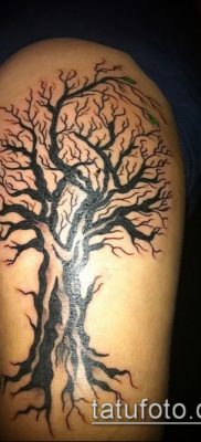 фото тату дуб (tattoo oak) (значение) — пример рисунка — 053 tatufoto.com