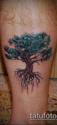 фото тату дуб (tattoo oak) (значение) — пример рисунка — 054 tatufoto.com