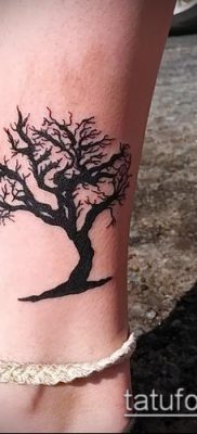 фото тату дуб (tattoo oak) (значение) — пример рисунка — 056 tatufoto.com