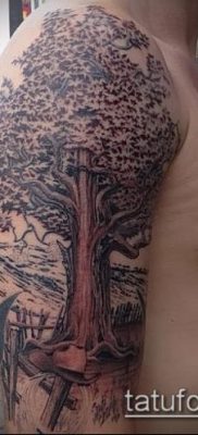 фото тату дуб (tattoo oak) (значение) — пример рисунка — 062 tatufoto.com