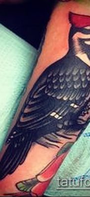фото тату дятел (значение) — пример интересного рисунка тату — 001 tatufoto.com