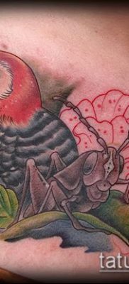 фото тату дятел (значение) — пример интересного рисунка тату — 037 tatufoto.com