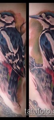 фото тату дятел (значение) — пример интересного рисунка тату — 039 tatufoto.com