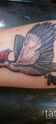 фото тату дятел (значение) — пример интересного рисунка тату — 058 tatufoto.com