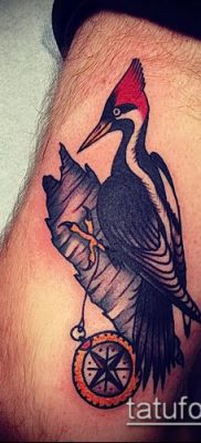 фото тату дятел (значение) — пример интересного рисунка тату — 065 tatufoto.com