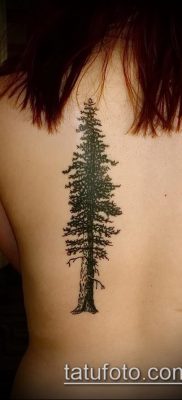 фото тату ель (tattoo spruce) (значение) — пример рисунка — 010 tatufoto.com
