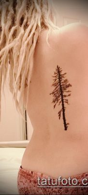 фото тату ель (tattoo spruce) (значение) — пример рисунка — 017 tatufoto.com