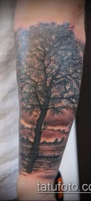 фото тату ель (tattoo spruce) (значение) — пример рисунка — 020 tatufoto.com
