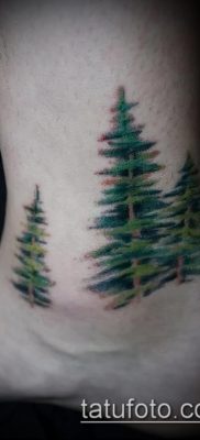фото тату ель (tattoo spruce) (значение) — пример рисунка — 021 tatufoto.com