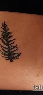 фото тату ель (tattoo spruce) (значение) — пример рисунка — 025 tatufoto.com