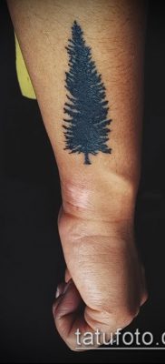 фото тату ель (tattoo spruce) (значение) — пример рисунка — 027 tatufoto.com