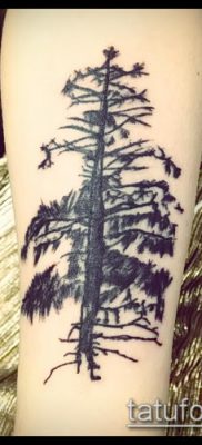 фото тату ель (tattoo spruce) (значение) — пример рисунка — 028 tatufoto.com