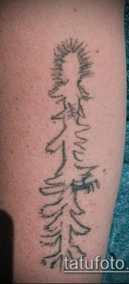 фото тату ель (tattoo spruce) (значение) — пример рисунка — 030 tatufoto.com