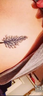 фото тату ель (tattoo spruce) (значение) — пример рисунка — 035 tatufoto.com