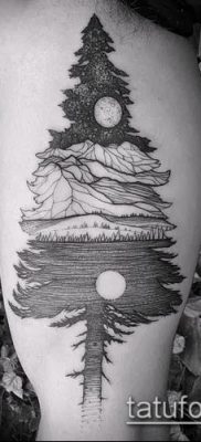 фото тату ель (tattoo spruce) (значение) — пример рисунка — 038 tatufoto.com
