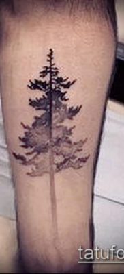 фото тату ель (tattoo spruce) (значение) — пример рисунка — 039 tatufoto.com