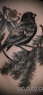 фото тату ель (tattoo spruce) (значение) — пример рисунка — 047 tatufoto.com