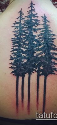фото тату ель (tattoo spruce) (значение) — пример рисунка — 054 tatufoto.com