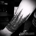 фото тату ель (tattoo spruce) (значение) - пример рисунка - 062 tatufoto.com